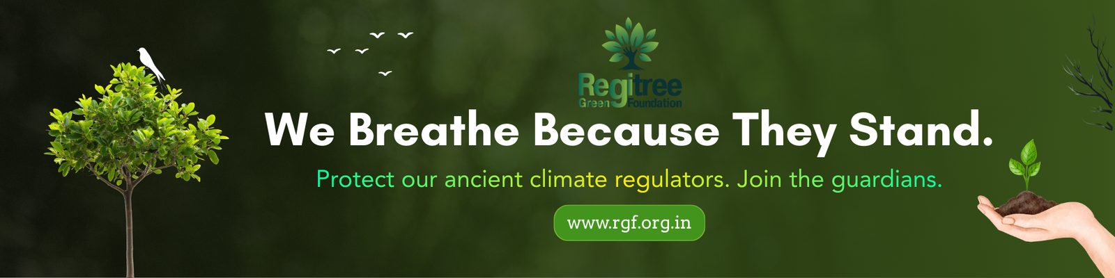 Regitree Green Foundation